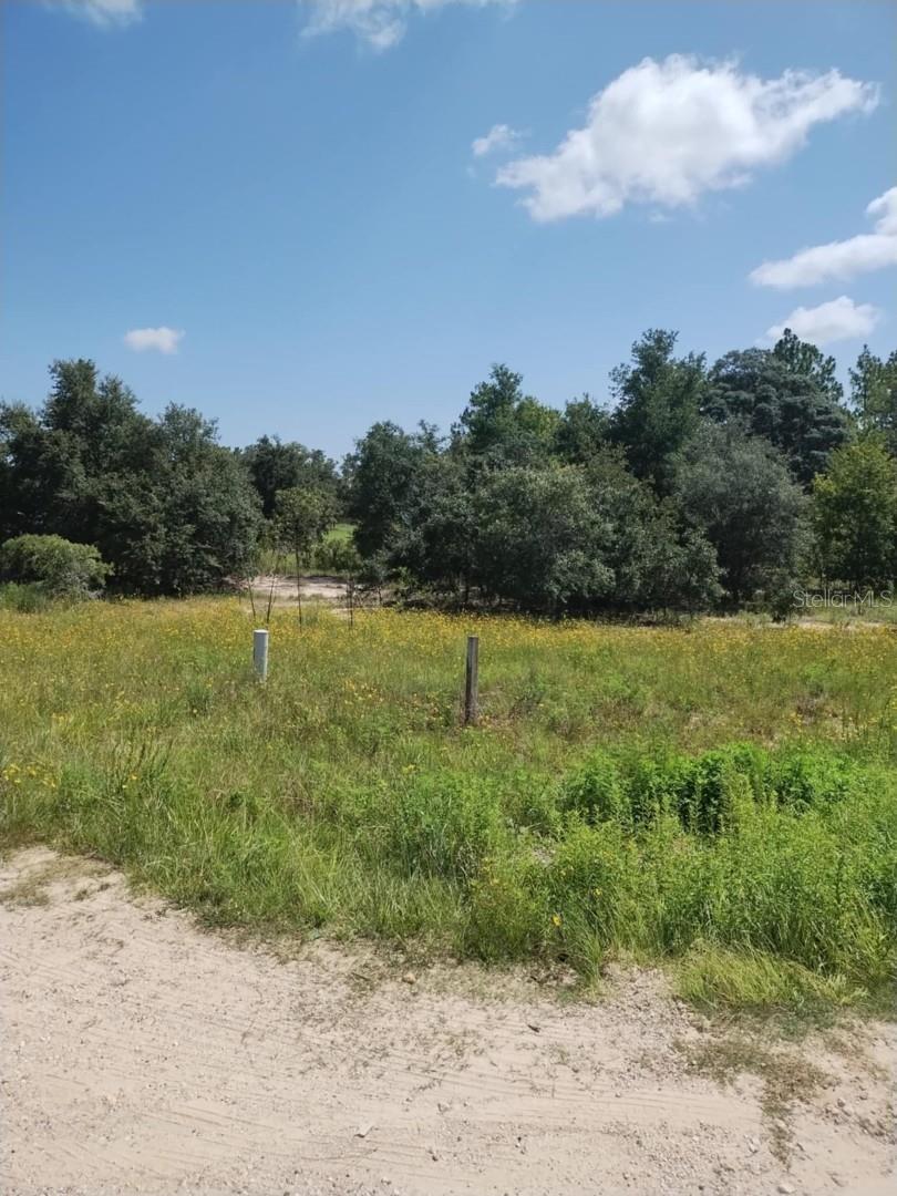 Property Photo: 0 Levy Street E FL 32696