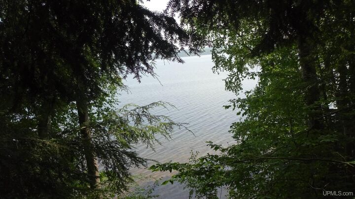 Tbd Autrain Forest Lake Road  Au Train MI 49806 photo