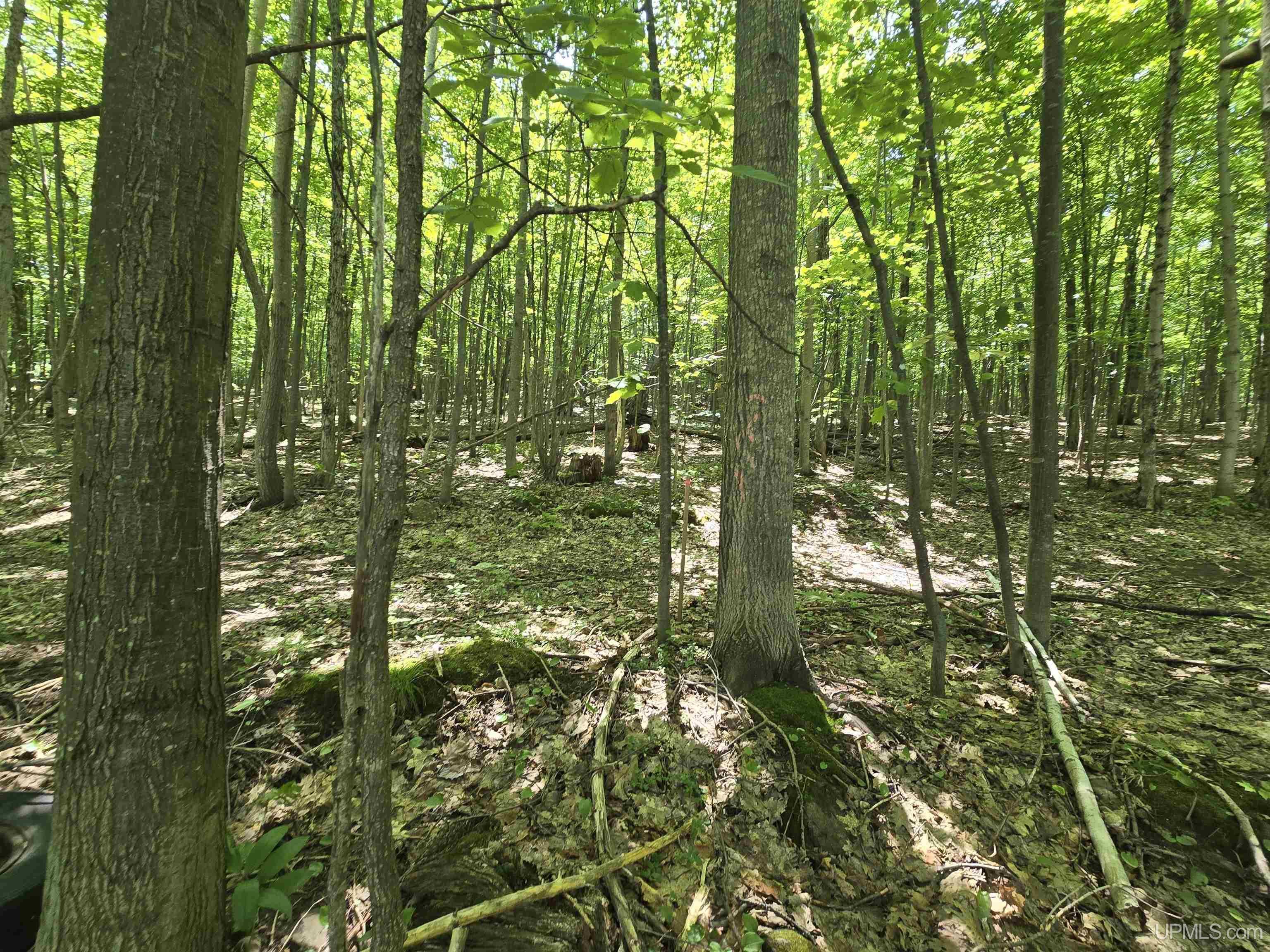 Property Photo: 1905 Poplar Drive MI 49931