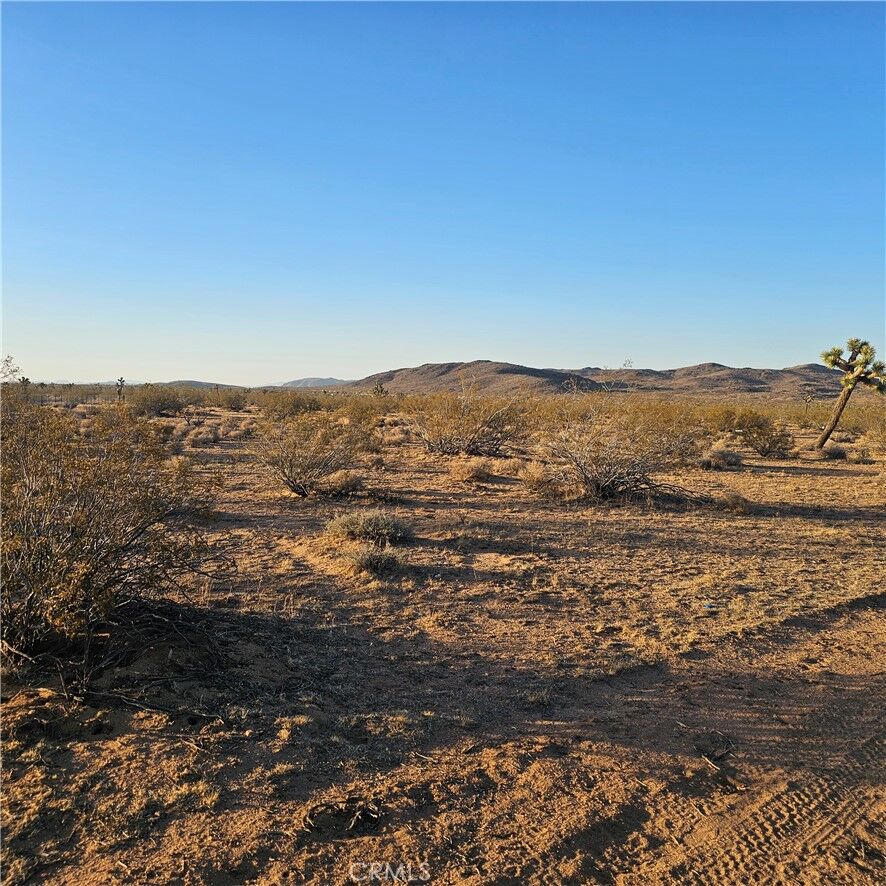 Property Photo:  1234 El Rancho  CA 92284 