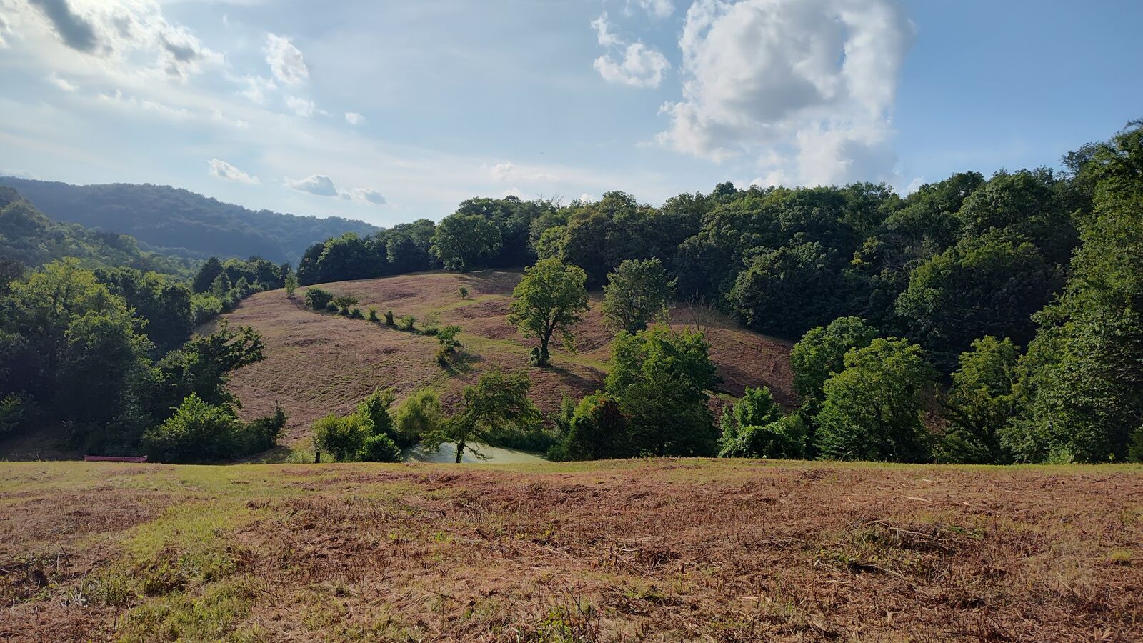 Property Photo:  0 Hurricane Creek Rd  TN 37190 