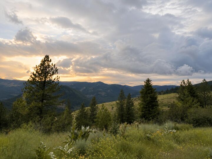 Property Photo:  #T Buffy Ln  WA 99138 