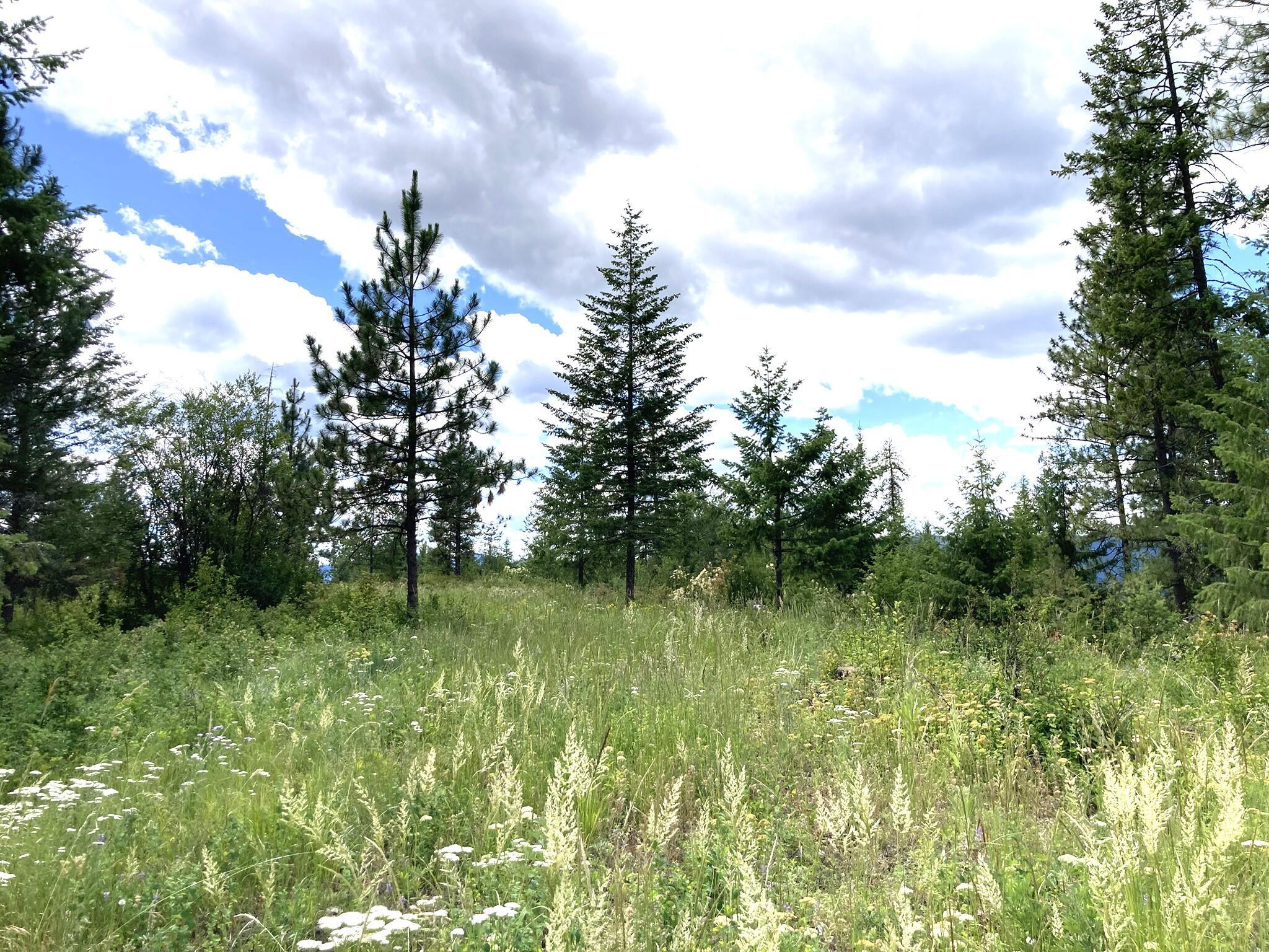 Property Photo: #U Buffy Ln WA 99138