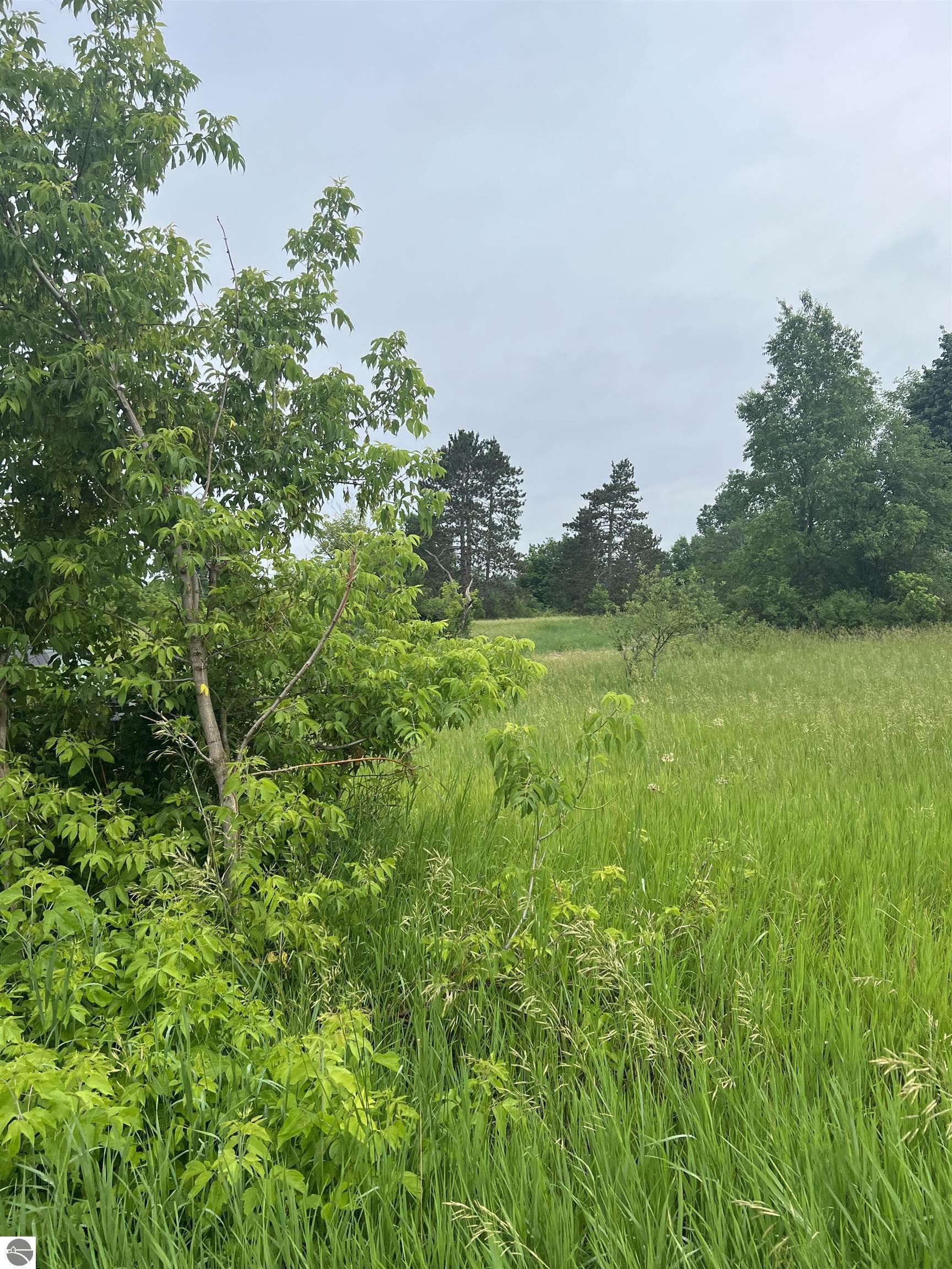 Property Photo:  15040 North Street  MI 49683 