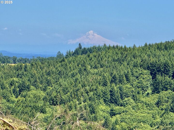 Property Photo:  11894 SW Dupee Valley Rd  OR 97148 