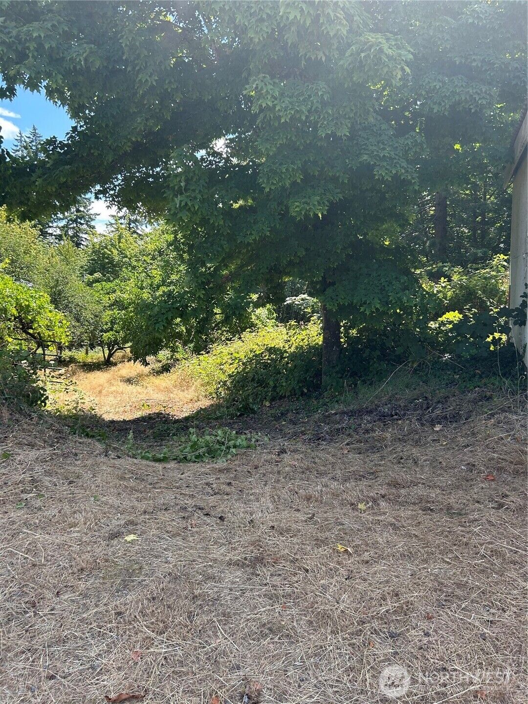 Property Photo:  0  Hazel Street  WA 98584 