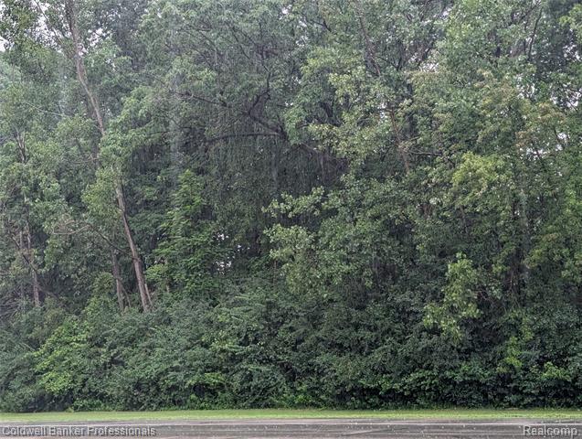 Property Photo:  3.4.5 Alpine Valley  MI 49659 