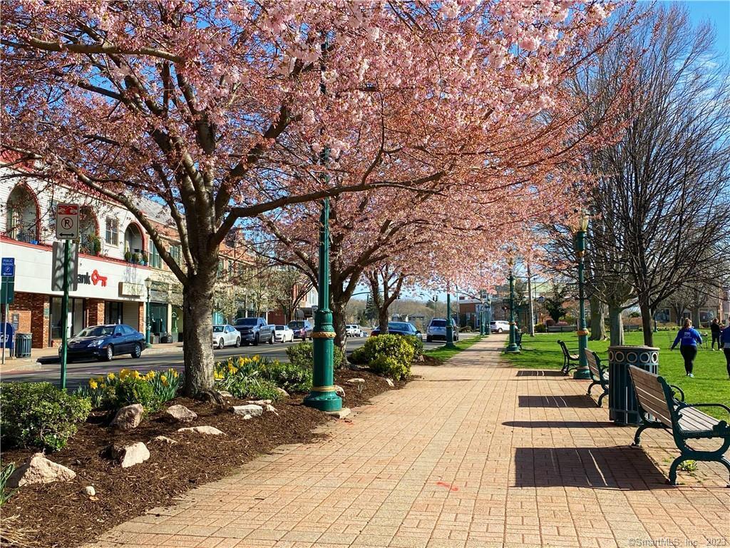 Property Photo:  85 South Main Street 1W  CT 06405 