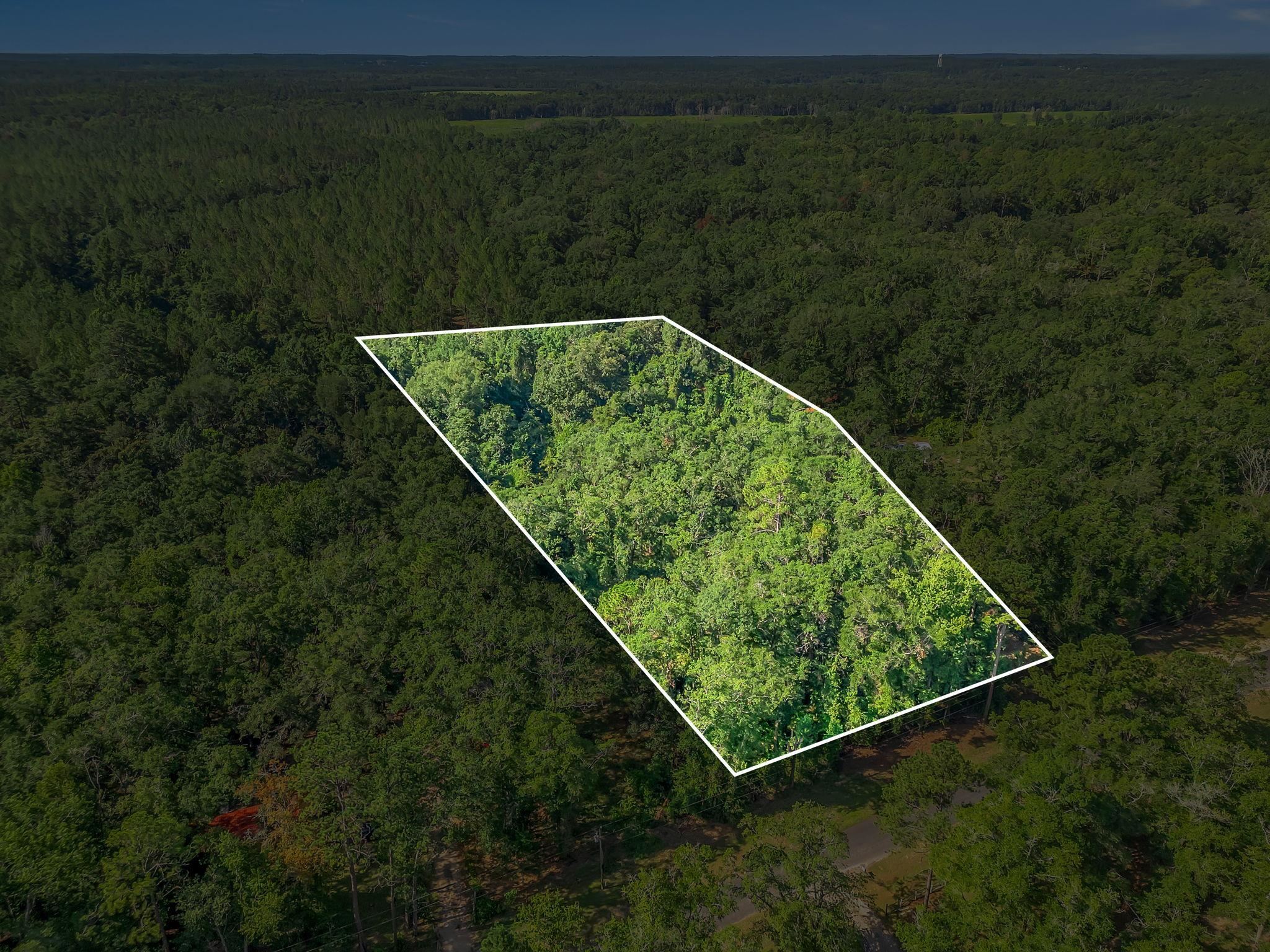 Property Photo: 635 Quail Lane FL 32344