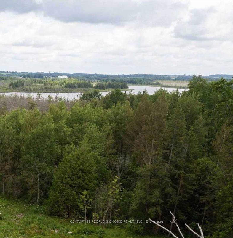 Photo de la propriété:  351591 17th Line Vacant Land  ON L9W 7E1 