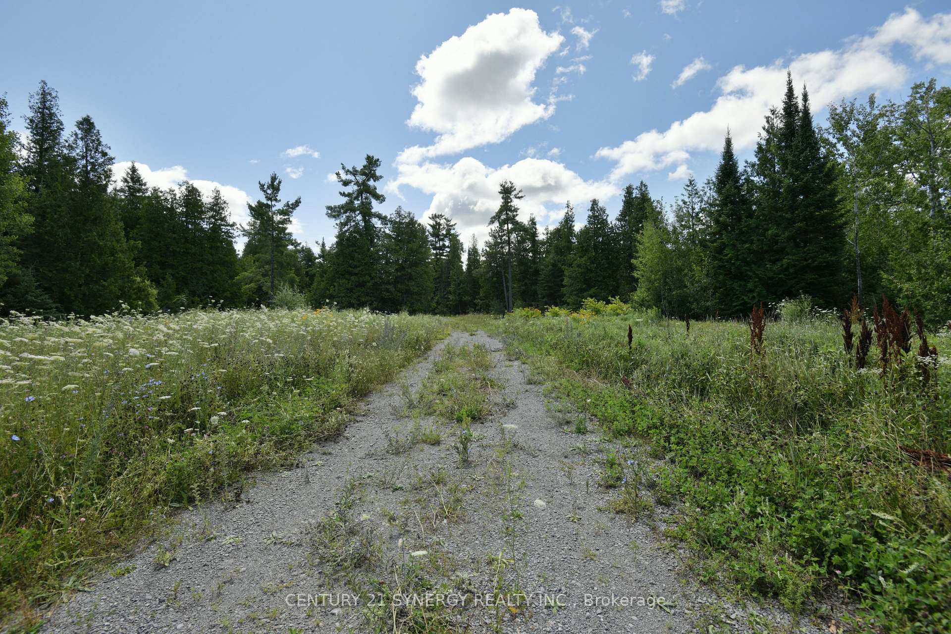 Property Photo:  00 Golf Club Road  ON K0A 1G0 