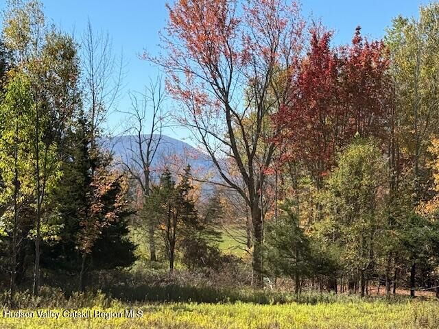 Property Photo: 0 Van Etten NY 12452