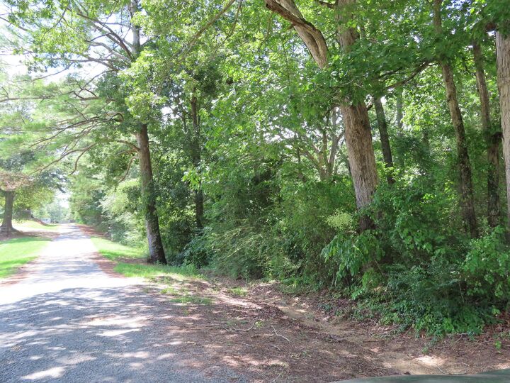 Property Photo:  German Rd  AL 35578 