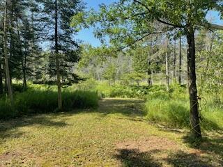 Property Photo: V/L Blue Springs Trail MI 49632