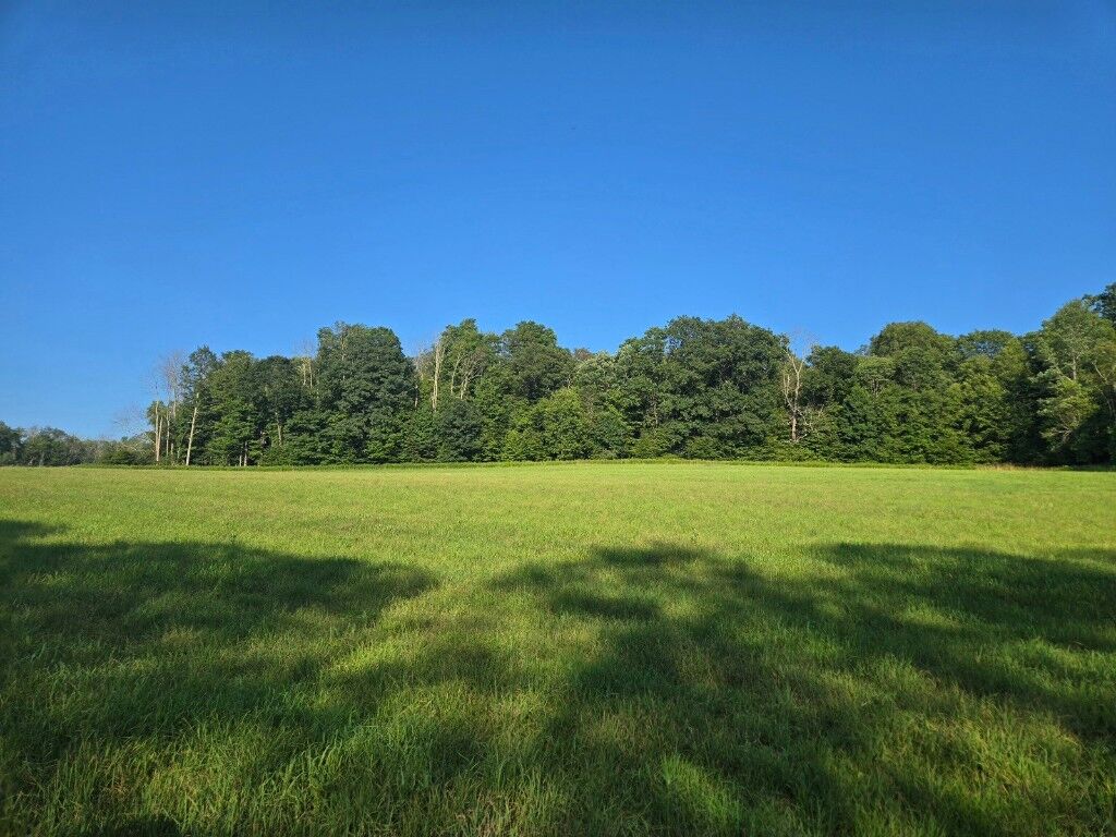 Property Photo:  137 Lewis Hill Road  NY 13841 