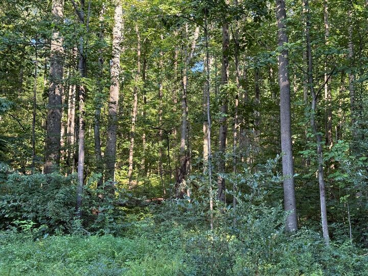 Property Photo:  871 Morrow Rd  PA 15747 