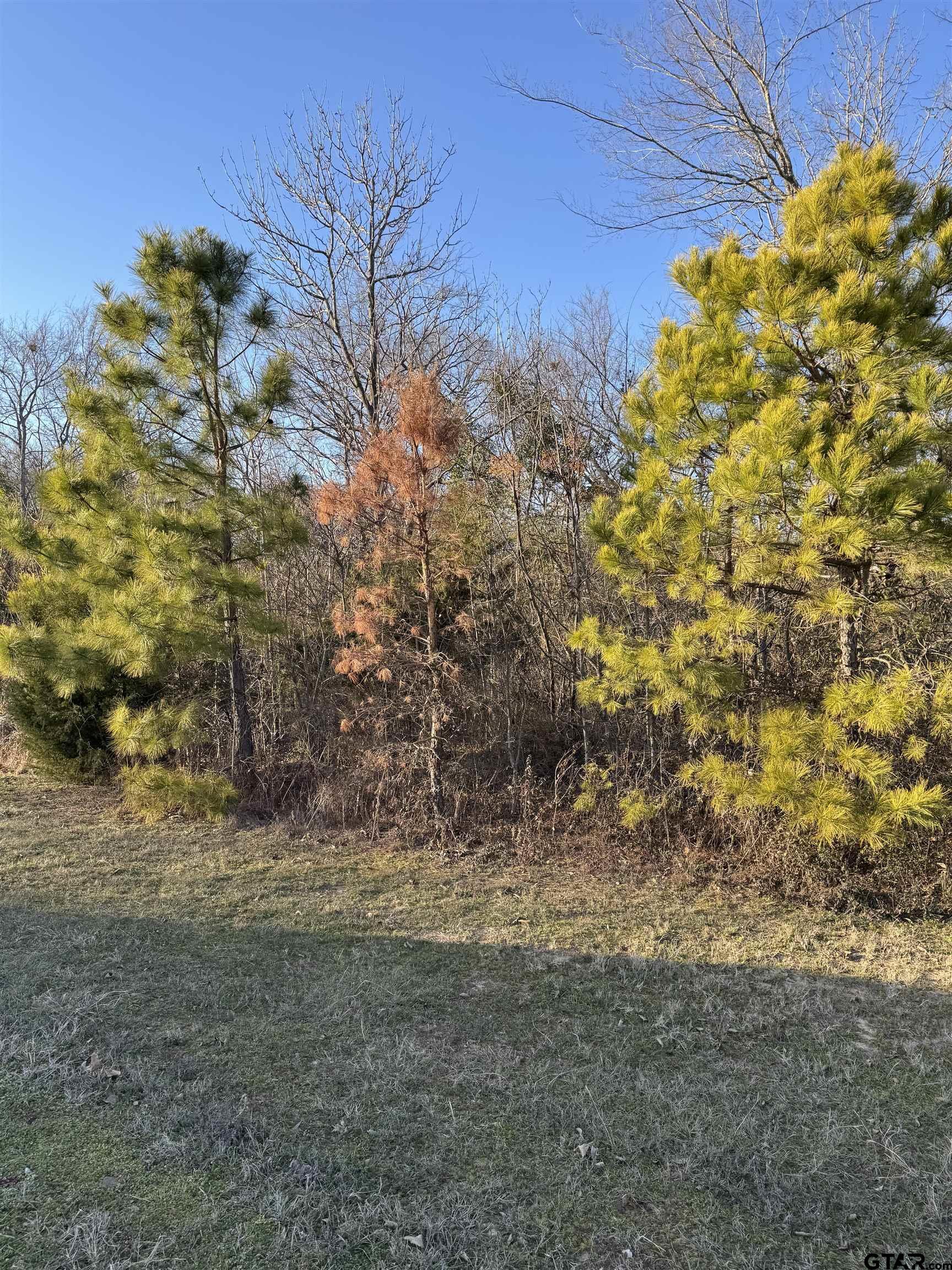 Property Photo: 13358 Nance Ln TX 75771