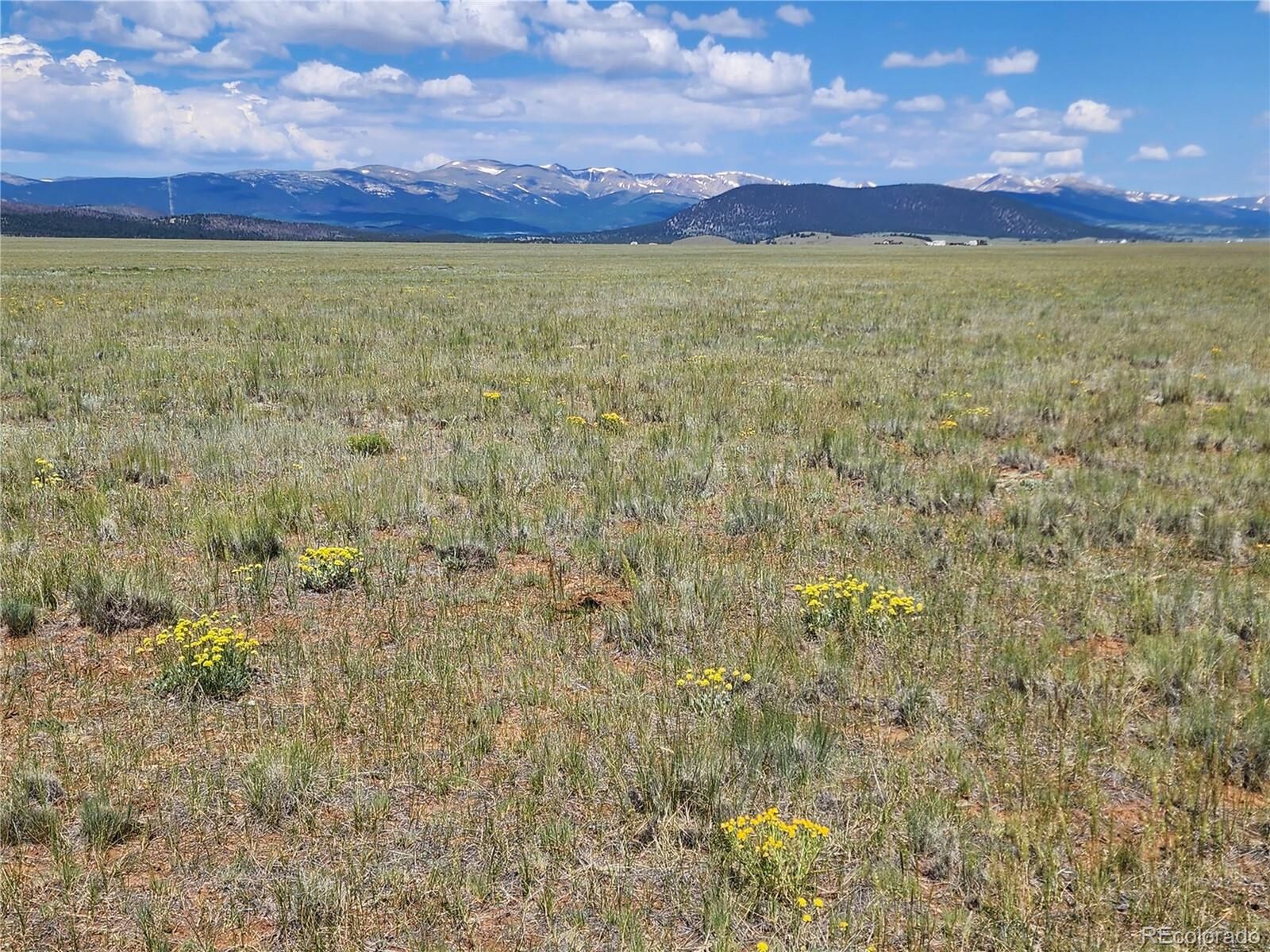 Property Photo:  9410 Antero Dr  CO 80449 