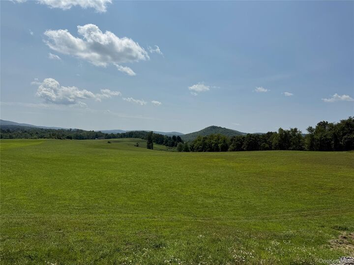 Property Photo:  1131 E Ancram Road  NY 12503 