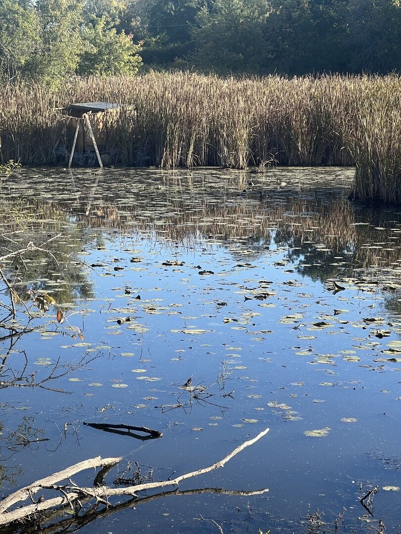 Property Photo: 35506 N Helendale Road IL 60041