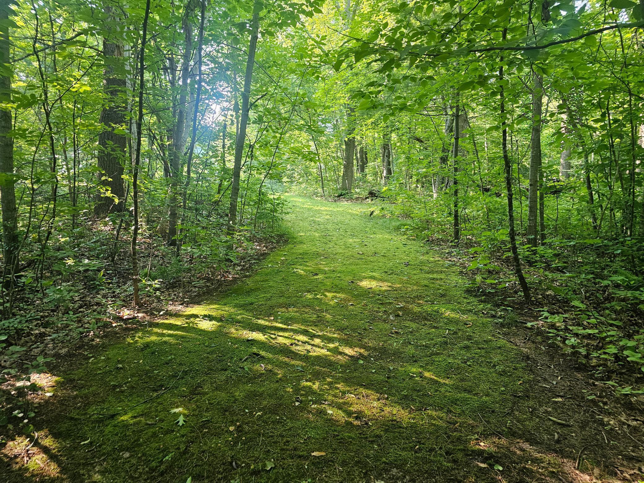 Property Photo: Tbd Lot 2 Bunny Lane MN 56441