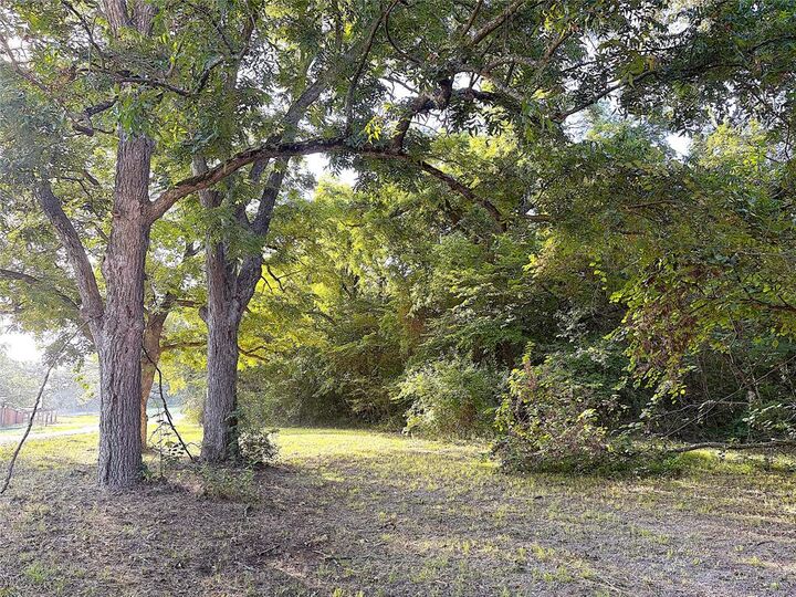 Property Photo: Tbd Lil Arkansas Road TX 75414