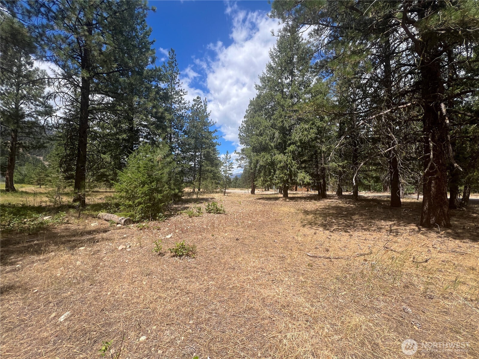 Property Photo:  4  Mazama Meadows Lane  WA 98833 