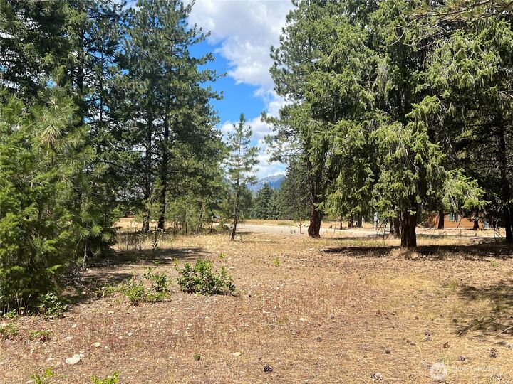 4  Mazama Meadows Lane  Mazama WA 98833 photo