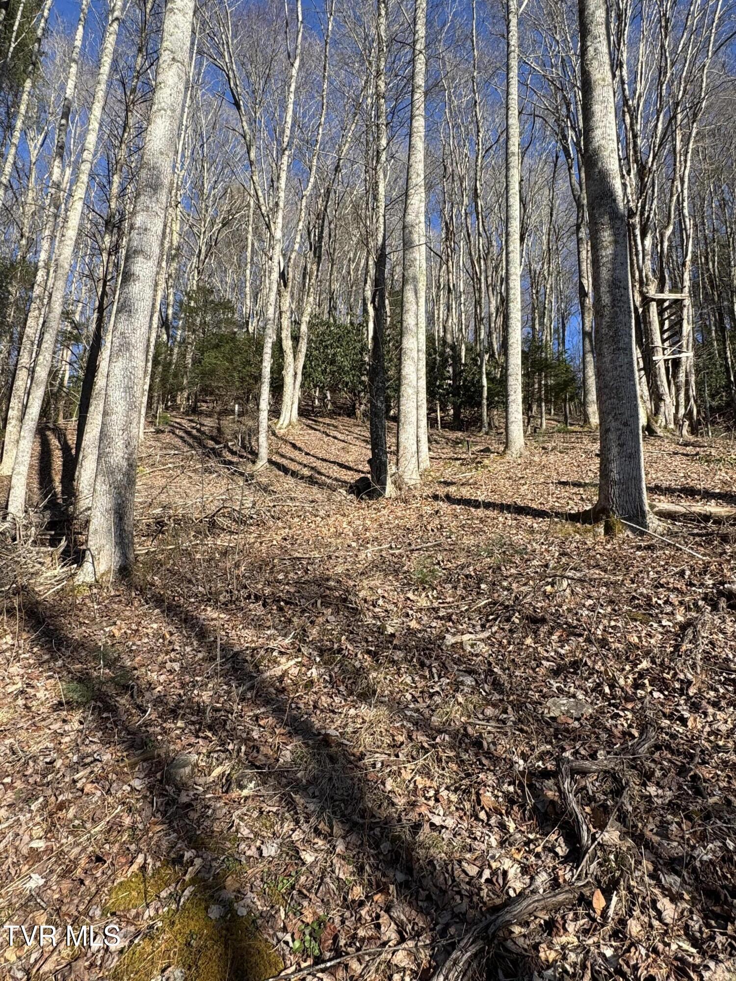 Property Photo: 6020 Forge Creek Road TN 37683