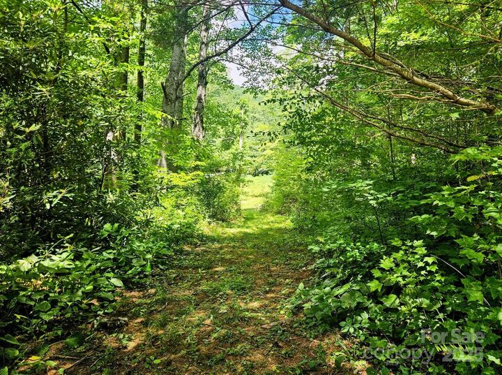 Property Photo: 1450 White Oak Creek Road NC 28714