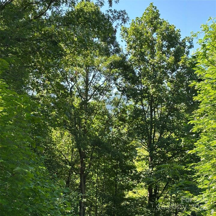 Property Photo: 33 Nuthatch Lane T-84 NC 28711