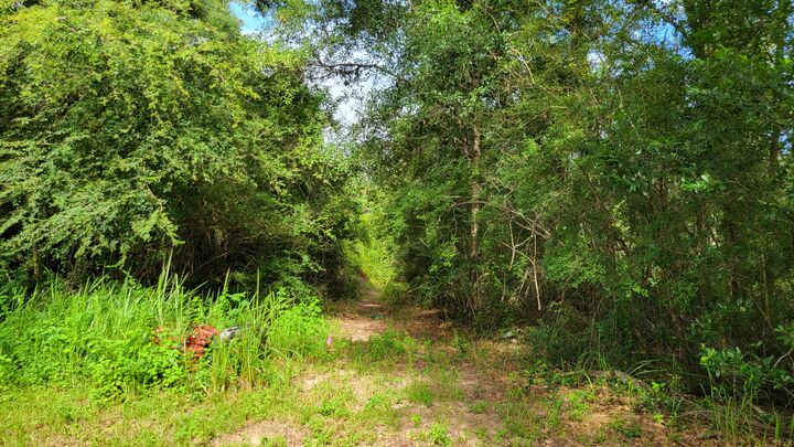Property Photo:  00 NE Second Avenue  FL 32539 