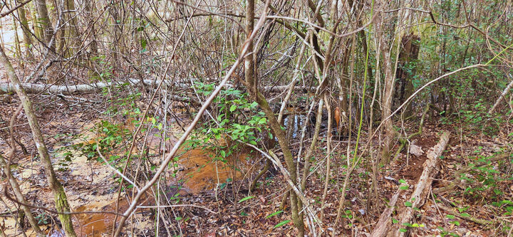 Property Photo:  00 NE Second Avenue  FL 32539 