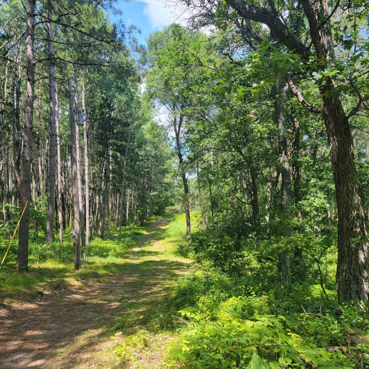 Property Photo: 14986 Big Stony Drive MN 56470