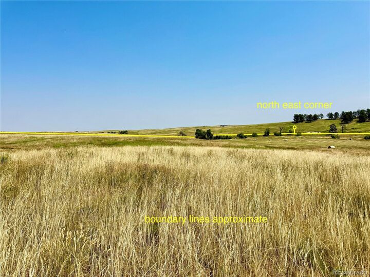 Property Photo:  Wendling Trail Lot 48  CO 80117 