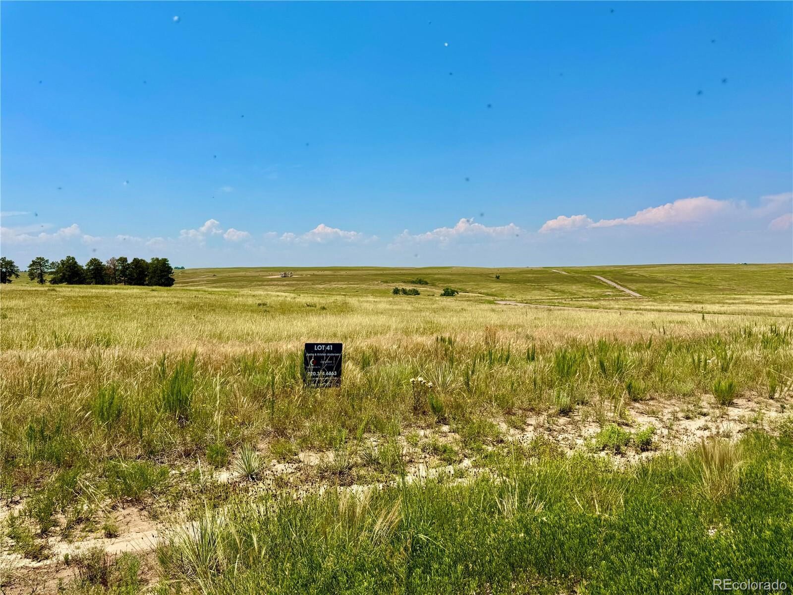 Property Photo:  Stillness Loop Lot 41  CO 80117 