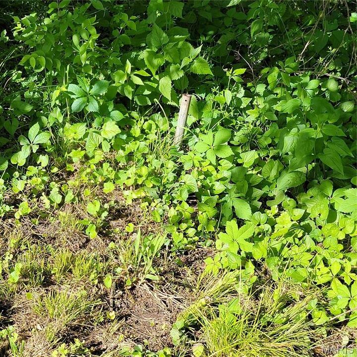 Property Photo: 1608 Singleton MO 63401