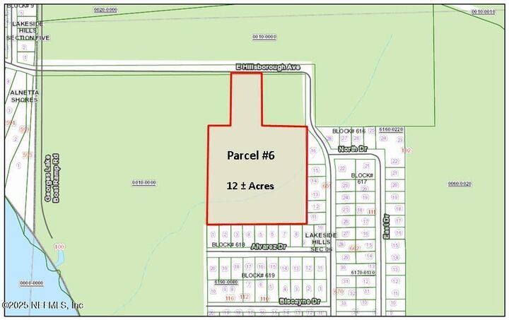 Property Photo:  Parcel 6 E Hillsborough Avenue  FL 32140 