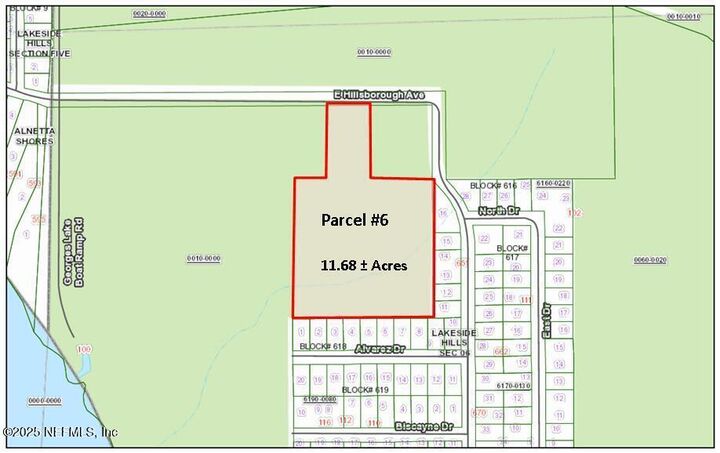 Property Photo: Parcel 6 E Hillsborough Avenue FL 32140