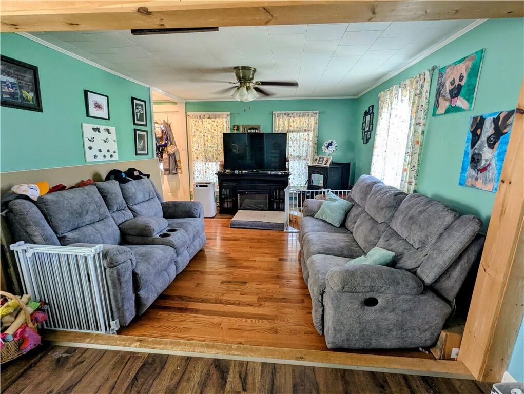 Property Photo:  231 Tracy Street  NY 14865 