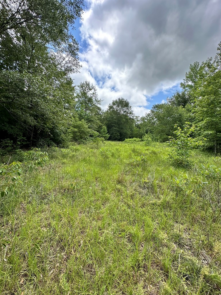 Property Photo: 4130 Ga Highway 0026 GA 31803