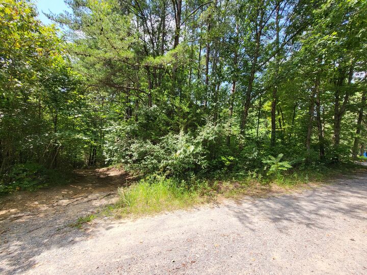 Property Photo: 0 Bowater Road TN 37367