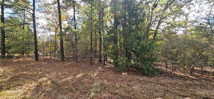 Property Photo:  15570 Cr 3147  TX 75706 