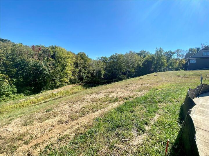 Property Photo:  2037 Lily Avenue  MO 63122 