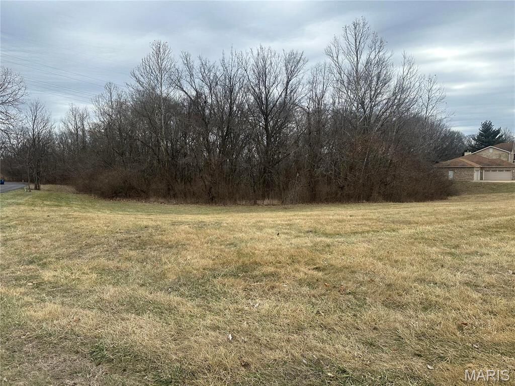 Property Photo: 1548 Fountainhead Lane MO 63138