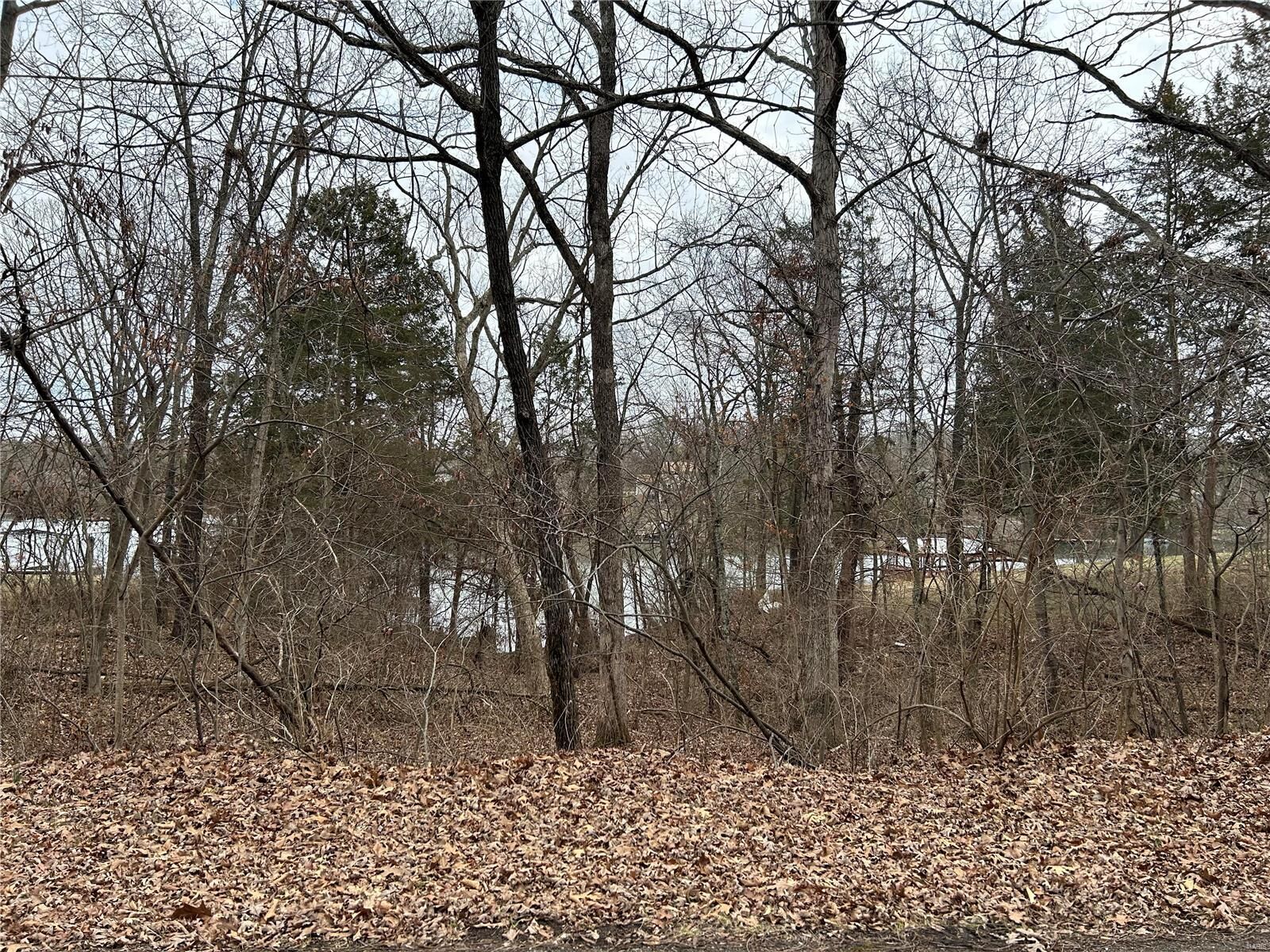 Property Photo: 0 Section 5 Lots 10 &Amp 11 MO 63020
