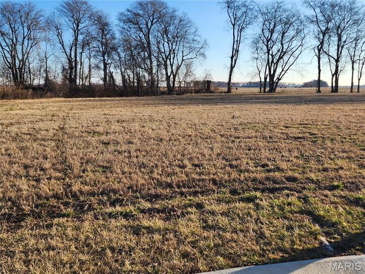 Property Photo:  150 Cypress Branch Road  MO 63801 