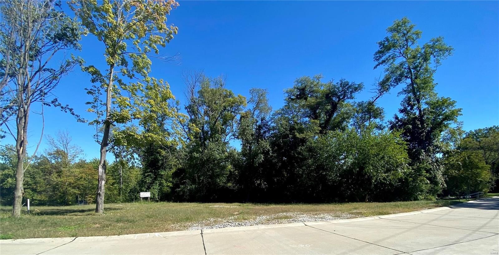 Property Photo:  2017 Lily Avenue  MO 63122 