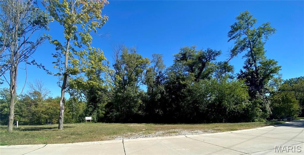 Property Photo:  2017 Lily Avenue  MO 63122 