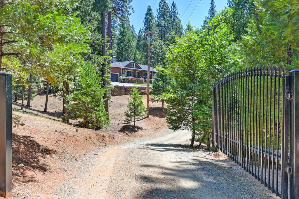 Property Photo:  9580 Grizzly Flat Road  CA 95636 
